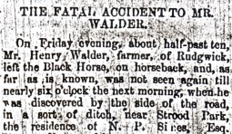 Henry Walder accident report